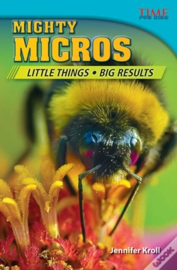 Capa do artigo Mighty Micros