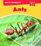 Mighty Minibeasts: Ants