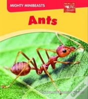 Capa do artigo Mighty Minibeasts: Ants