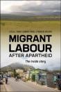 Migrant Labour After Apartheid - Preview