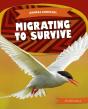 Migrating To Survive - Preview
