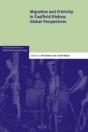 Migration And Ethnicity In Coalfield History - Preview