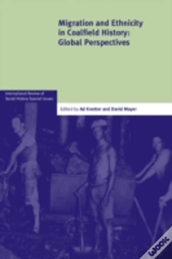 Capa do artigo Migration And Ethnicity In Coalfield History