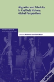 Capa do artigo Migration And Ethnicity In Coalfield History