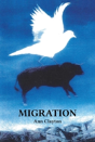 Migration - Preview