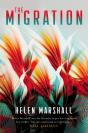 Migration - Preview