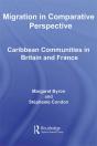 Migration In Comparative Perspective - Preview