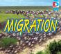 Migration - Preview