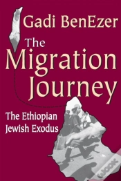 Capa do artigo Migration Journey