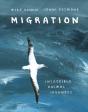 Migration - Preview
