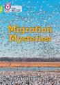 Migration Mysteries - Preview