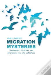 Capa do artigo Migration Mysteries