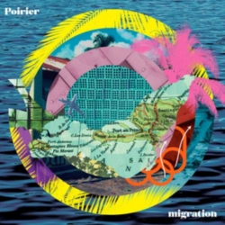 Capa do artigo Migration - Vinil