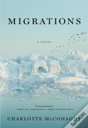 Capa do artigo Migrations