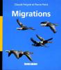 Migrations - Preview