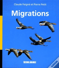 Capa do artigo Migrations