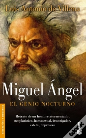Capa do artigo Miguel Ángel