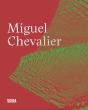 Miguel Chevalier - Preview
