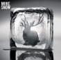Miike Snow - Vinil - Preview