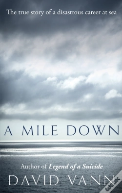 Capa do artigo Mile Down