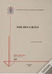 Milho Grão 