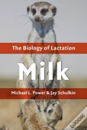Capa do artigo Milk