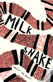 Capa do artigo Milk Snake