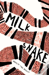 Capa do artigo Milk Snake