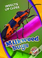 Milkweed Bugs