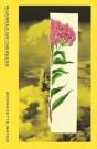 Milkweed Smithereens - Preview