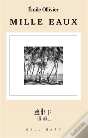 Capa do artigo Mille Eaux