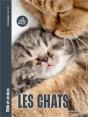 Mille Et Un Docs : Les Chats - Preview