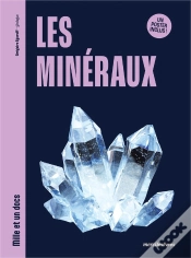 Capa do artigo Mille Et Un Docs : Les Minéraux : Inclus : Un Poster Recto Verso !