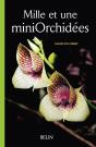 Mille Et Une Mini Orchidées - Preview