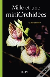 Mille Et Une Mini Orchidées