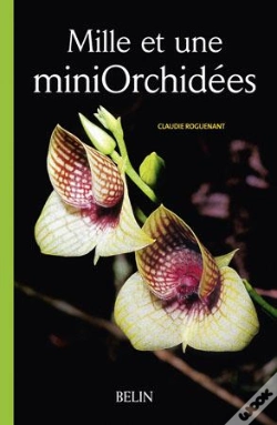 Capa do artigo Mille Et Une Mini Orchidées
