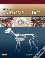 Capa do artigo Miller