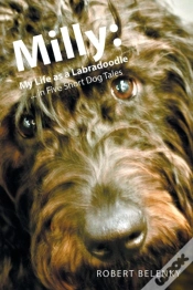 Capa do artigo Milly
