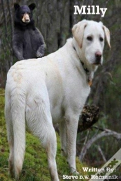 Capa do artigo Milly