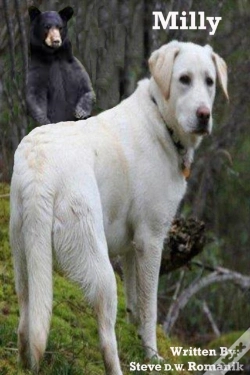 Capa do artigo Milly