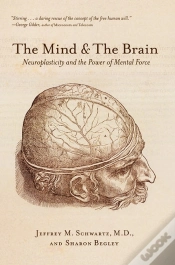 Capa do artigo Mind And The Brain