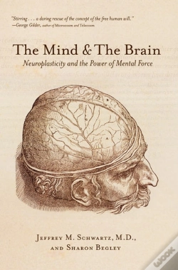Capa do artigo Mind And The Brain