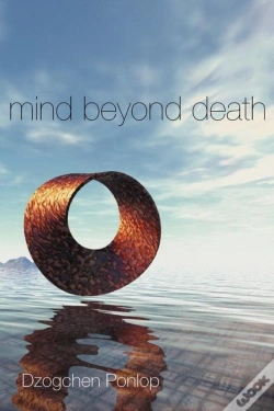 Capa do artigo Mind Beyond Death
