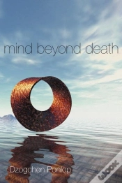 Capa do artigo Mind Beyond Death