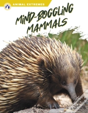 Capa do artigo Mind-Boggling Mammals