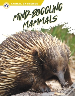 Capa do artigo Mind-Boggling Mammals