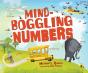 Mind-Boggling Numbers - Preview