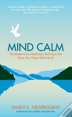 Capa do artigo Mind Calm