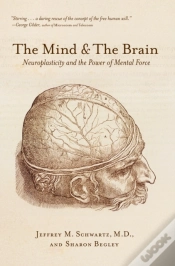 Capa do artigo Mind & The Brain