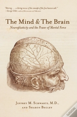 Capa do artigo Mind & The Brain